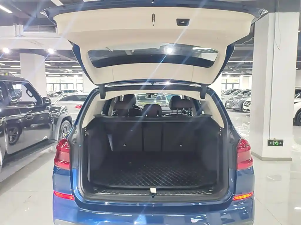 BMW X3 2018 2018 xDrive25i M Sport Package China V