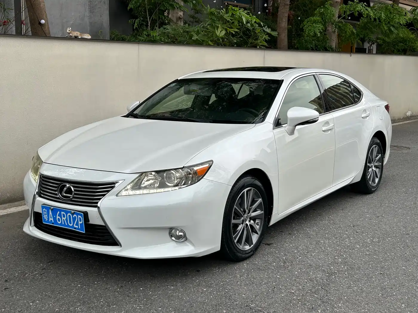 Lexus ES 2013 250 Elite Edition