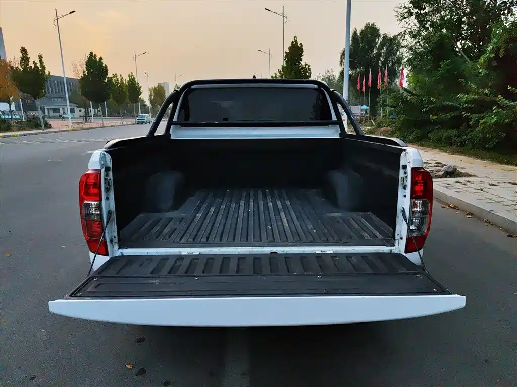 Dongfeng Rich 6 2020 2019 2.4L Manual 2WD Gasoline Standard China VI 2TZD