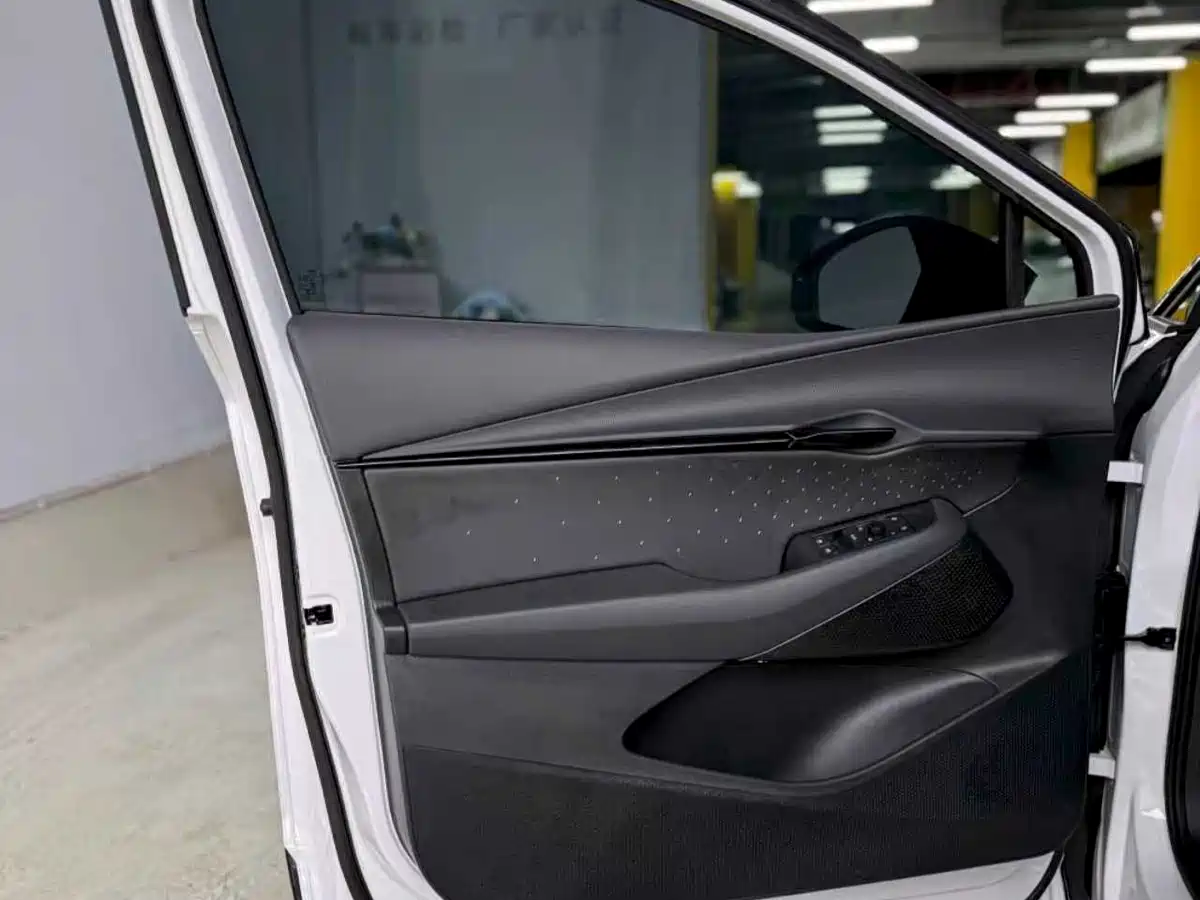 VOLKSWAGEN WITH THE CROWD 06