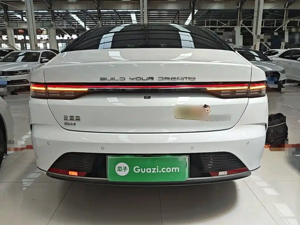 BYD Destroyer 05 2024 Glory Edition DM-i 55KM Luxury фото 6