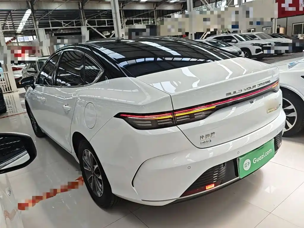 BYD Destroyer 05 2024 Glory Edition DM-i 55KM Luxury фото 5
