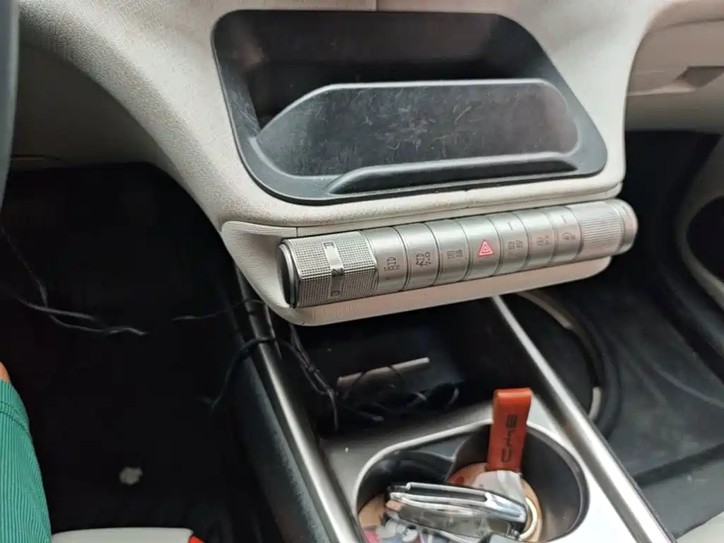 BYD Dolphin 2022 2021 405km Freedom Edition