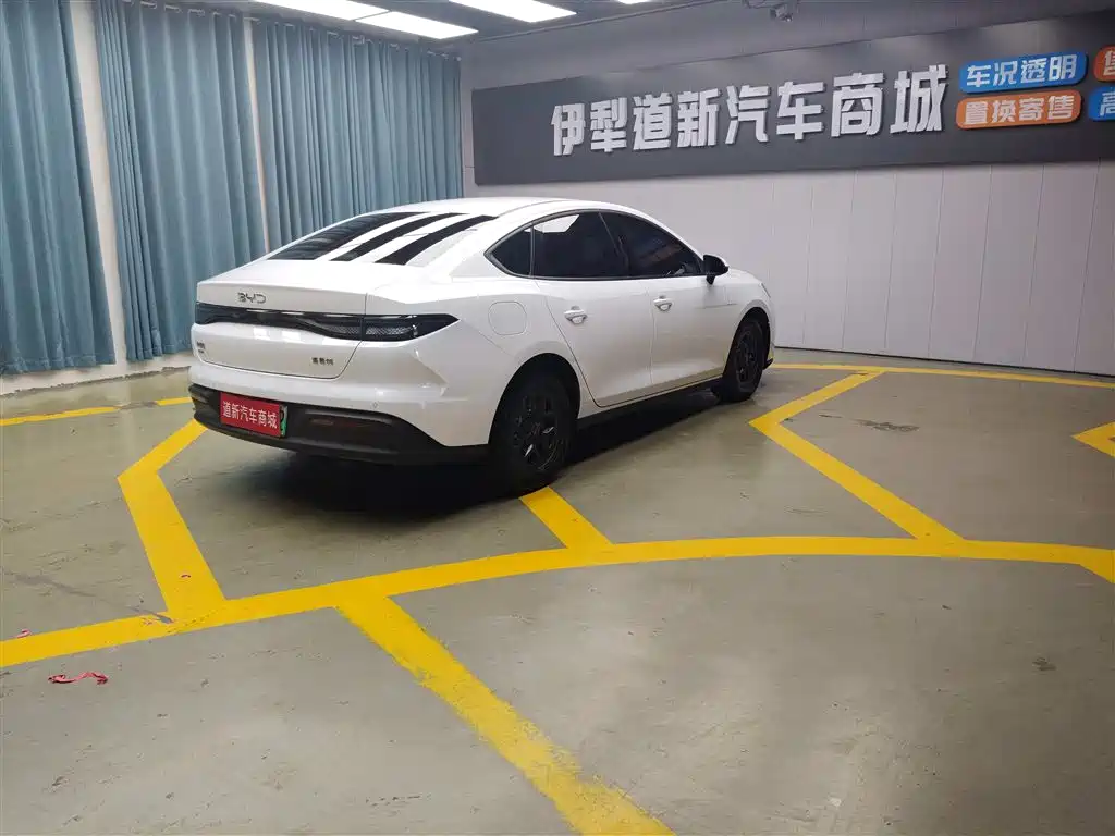 BYD Hai Bao 05 DM-i 2025 DM-i Smart Drive Edition 55KM Luxury фото 7