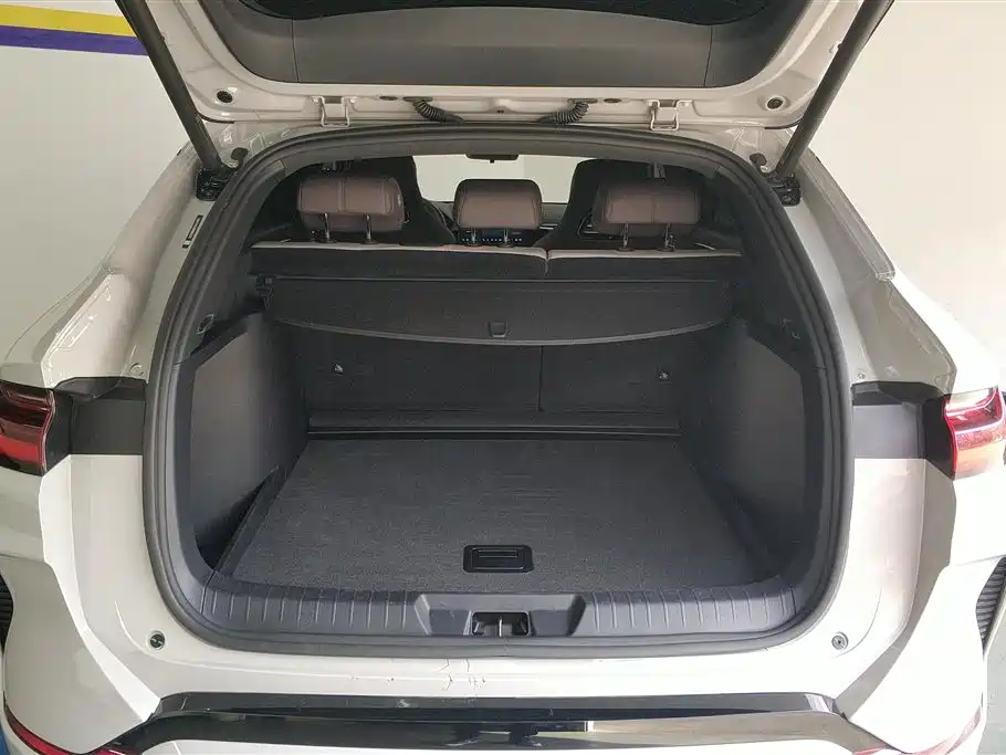 BYD SONGJIANG NEW ENERGY