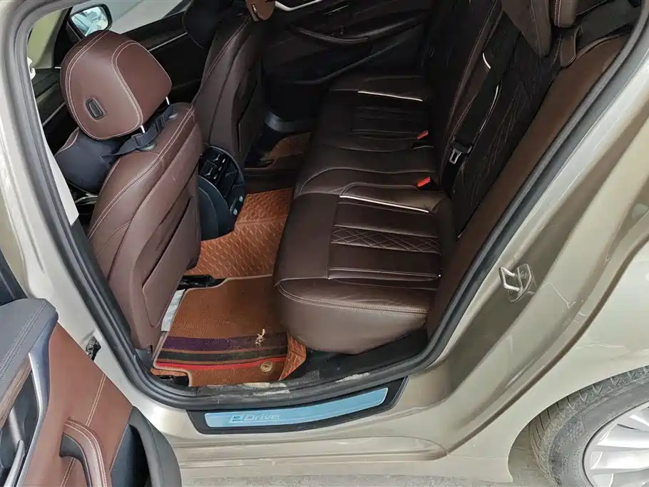 BMW 5 Series New Energy 2019 Facelift 530Le Luxury Package фото 11