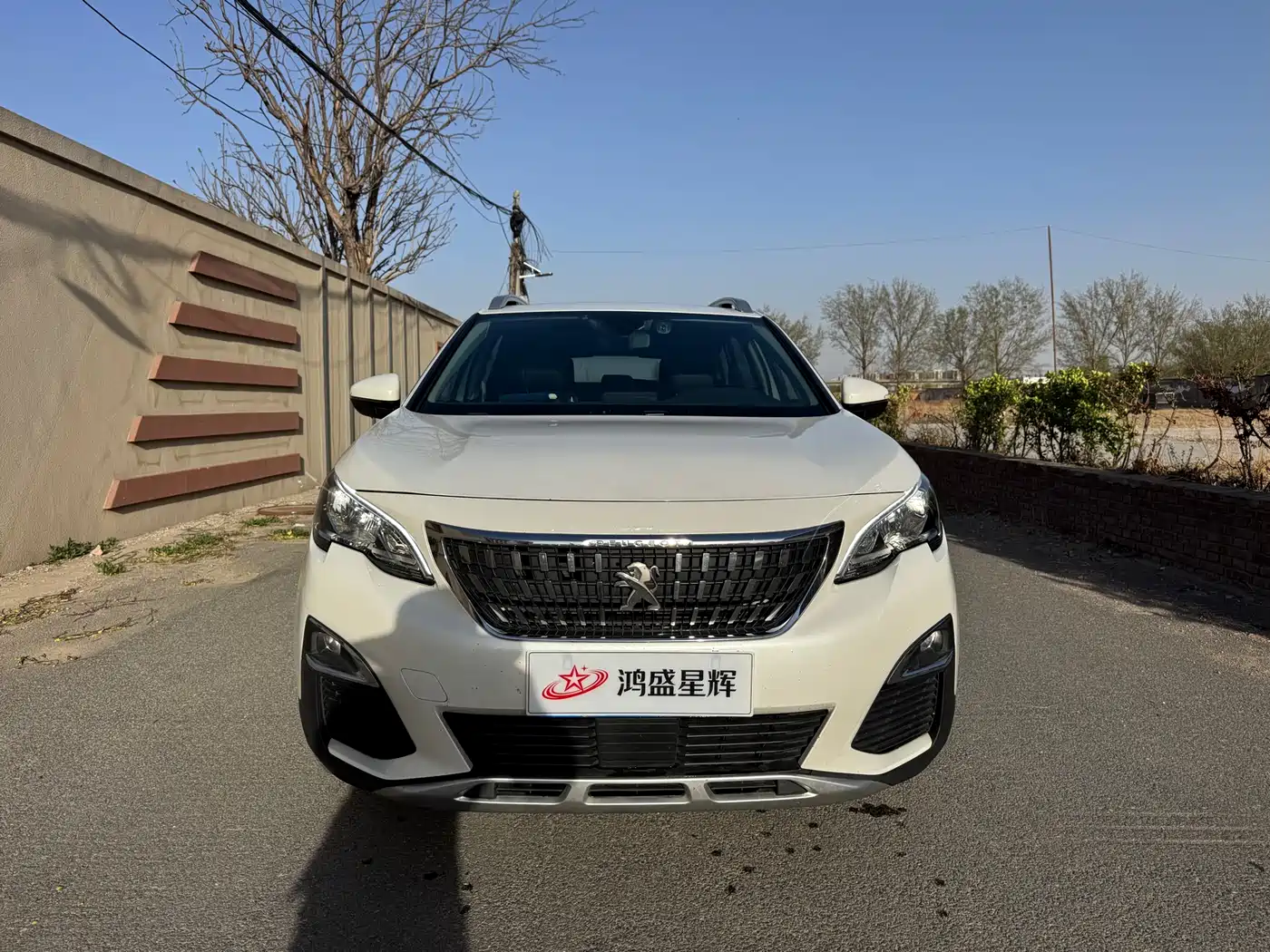 PEUGEOT 4008
