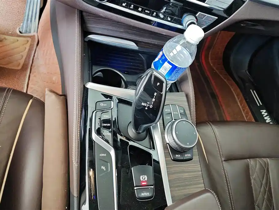 BMW 5 Series New Energy 2019 Facelift 530Le Luxury Package фото 16