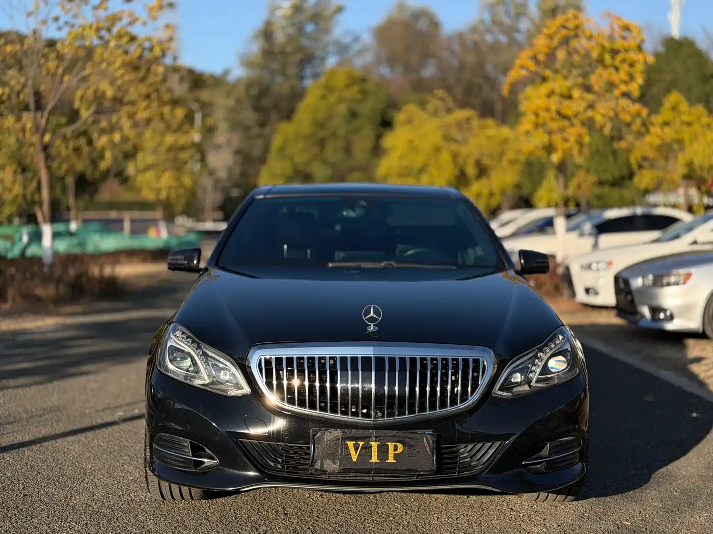 Mercedes-Benz E-Class 2015 E 320 L Luxury 4MATIC фото 5
