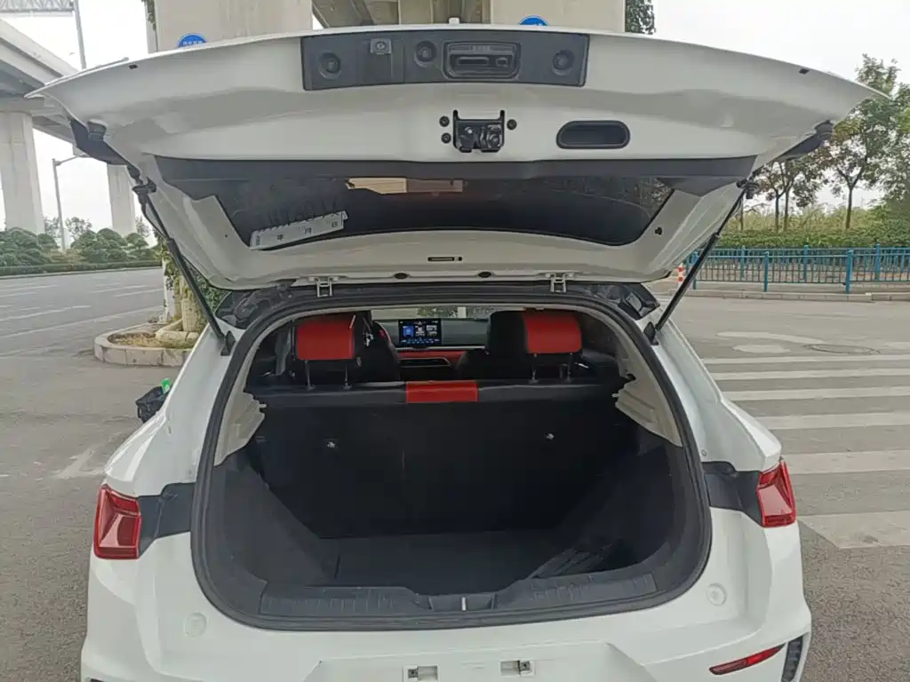 BYD e2 2020 2020 Upgraded Long Range Premium