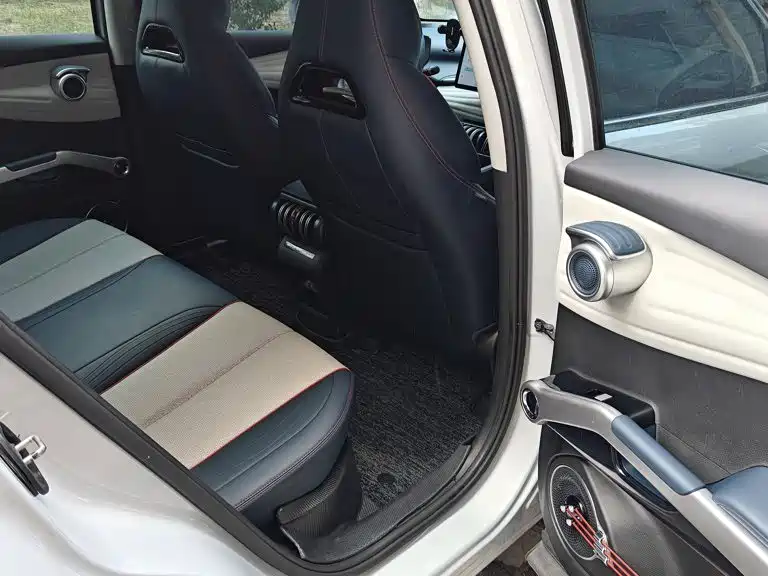 BYD Yuan PLUS 2022 2022 510KM Flagship