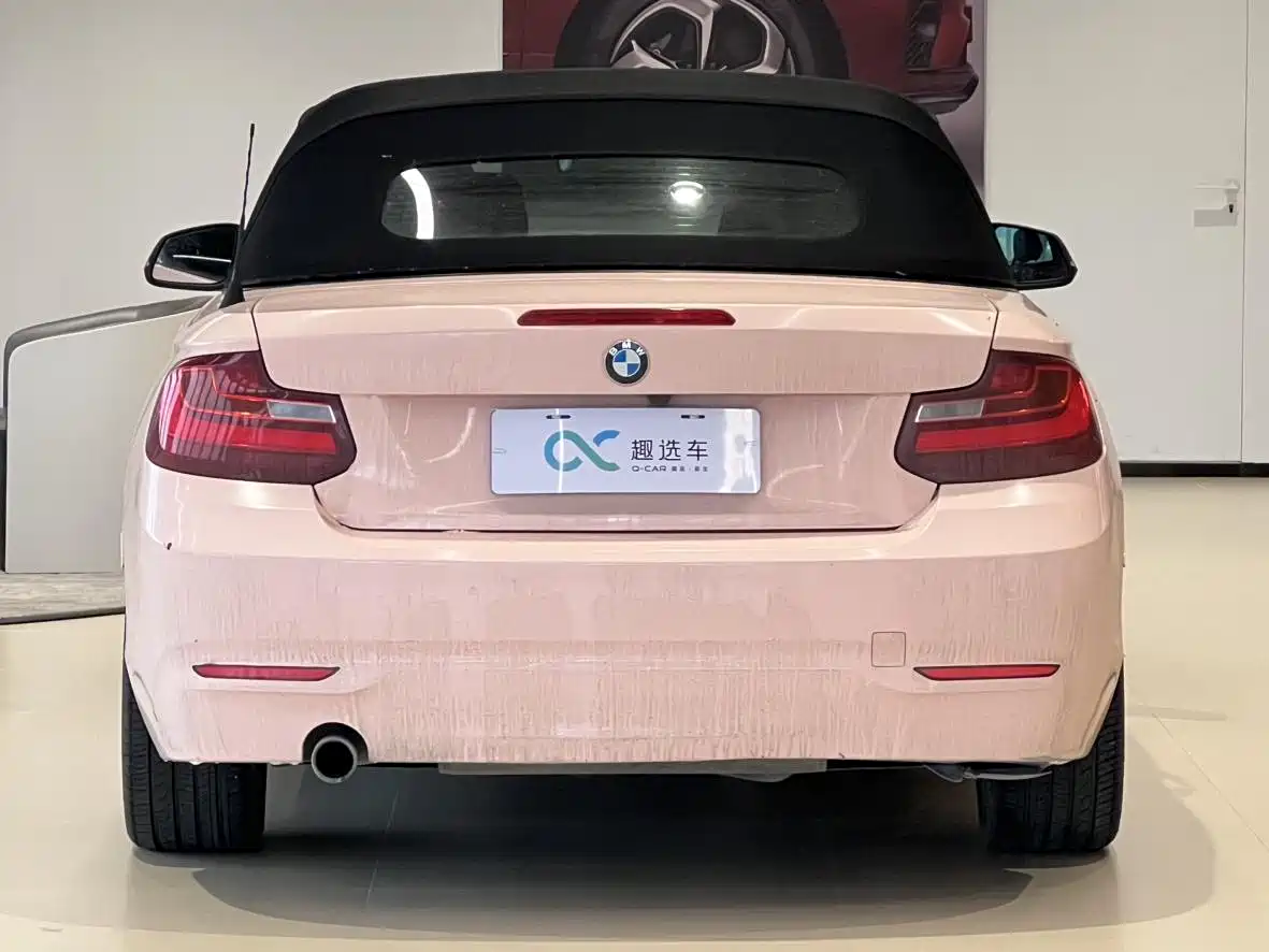 BMW 2 Series (Import) 2015 220i Convertible Coupe Leading фото 6