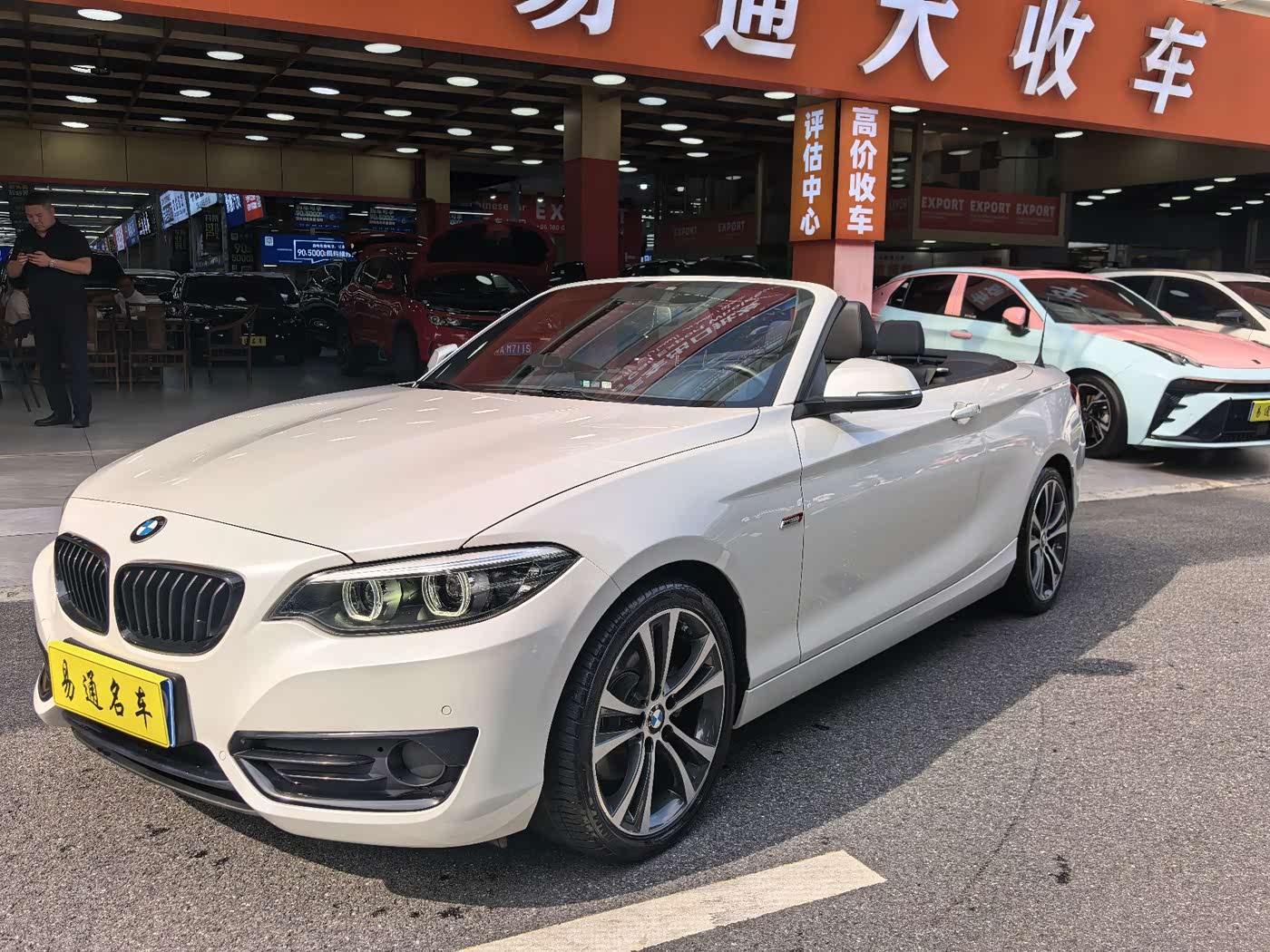 BMW 2 Series (Import)