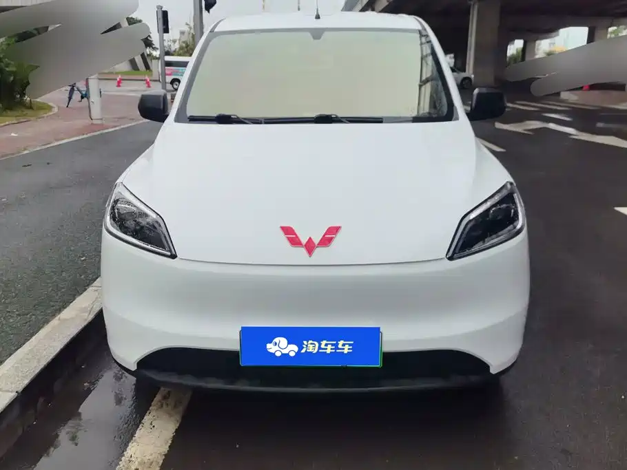 Wuling Motors Wuling Hongguang New Energy 2025 2024 Pure Electric 300KM Standard