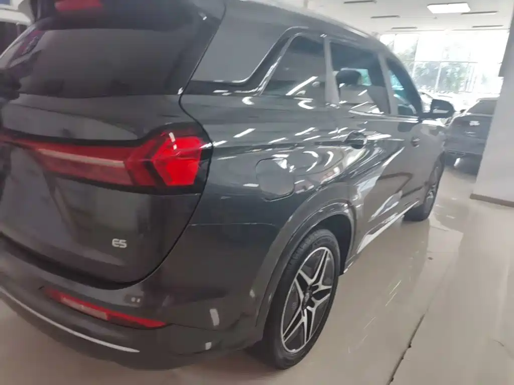 Landian E5 2024 2024 Glory Edition 100KM Ultimate Type 7-Seater