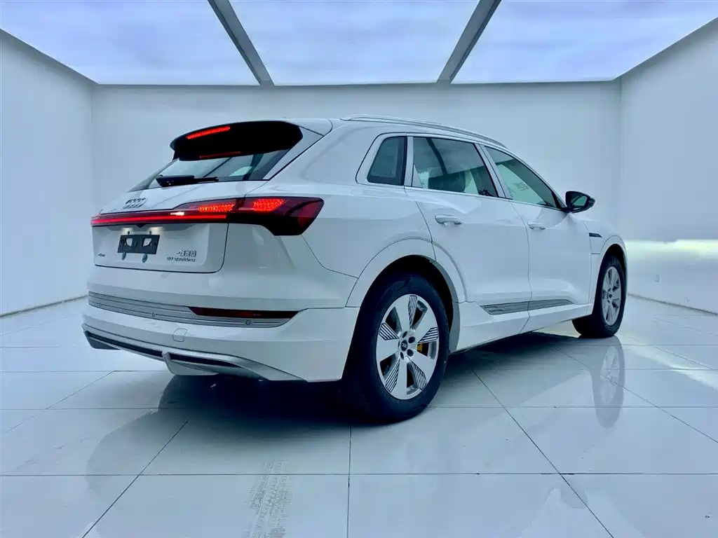 Audi e-tron 2021 50 quattro Luxury фото 5