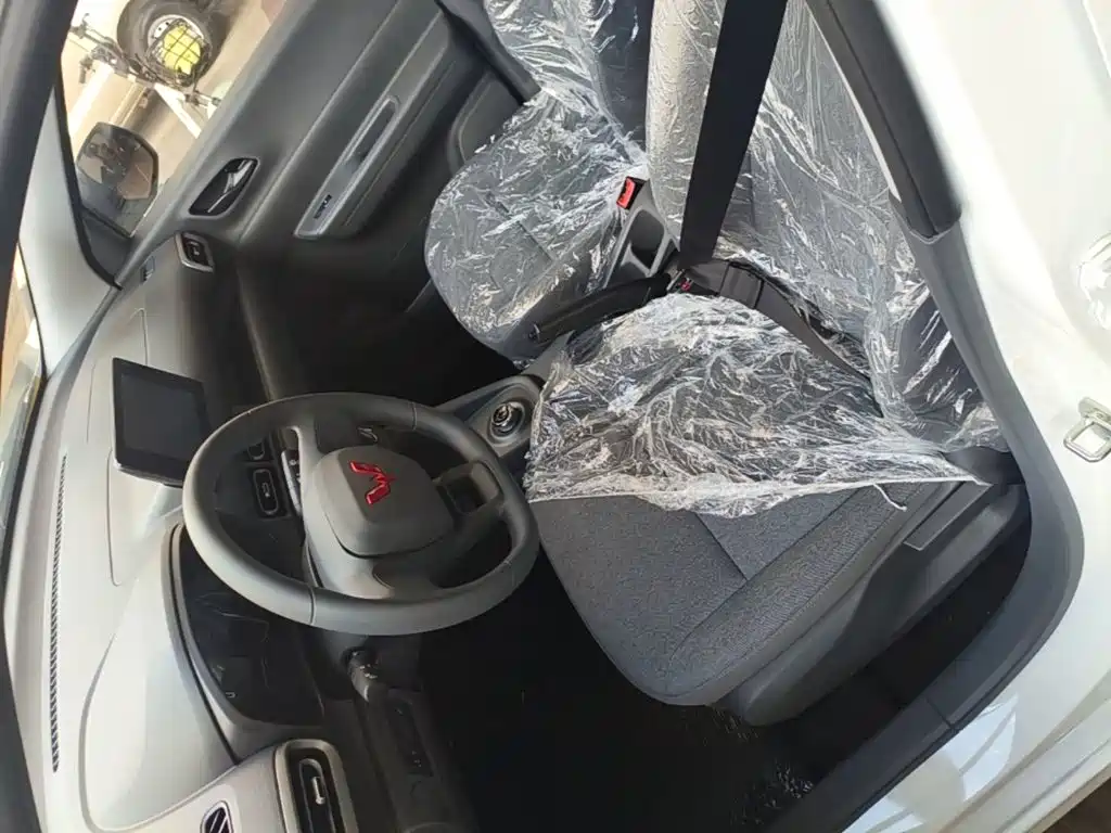 Wuling Motors Wuling Hongguang New Energy 2026 2024 Pure Electric 300KM Standard