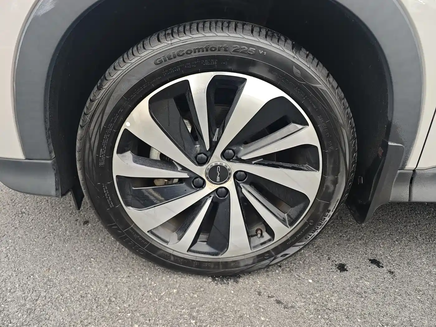 BYD SONGJIANG NEW ENERGY