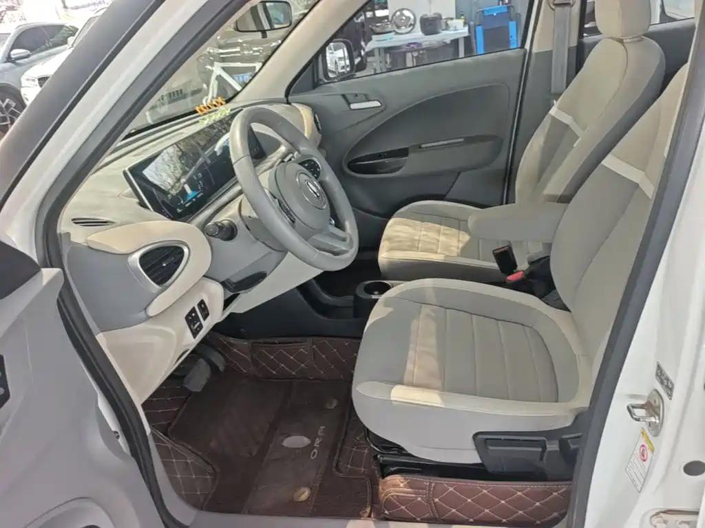 Ora White Cat 2022 2022 Upgraded 305km Luxury (NMC)
