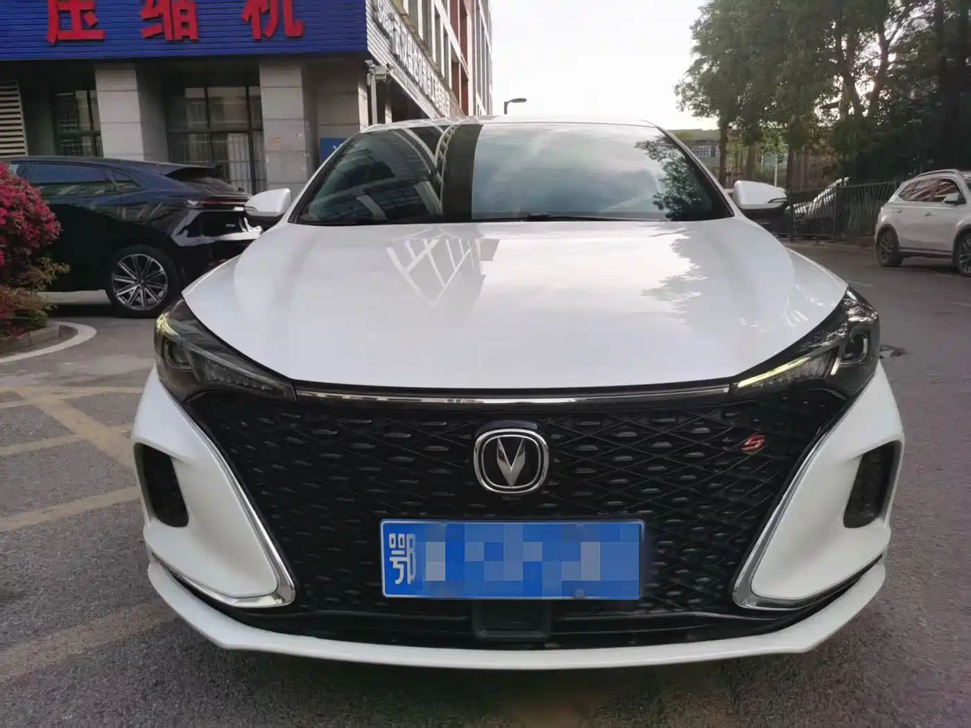 Фото 4 - Changan Eado