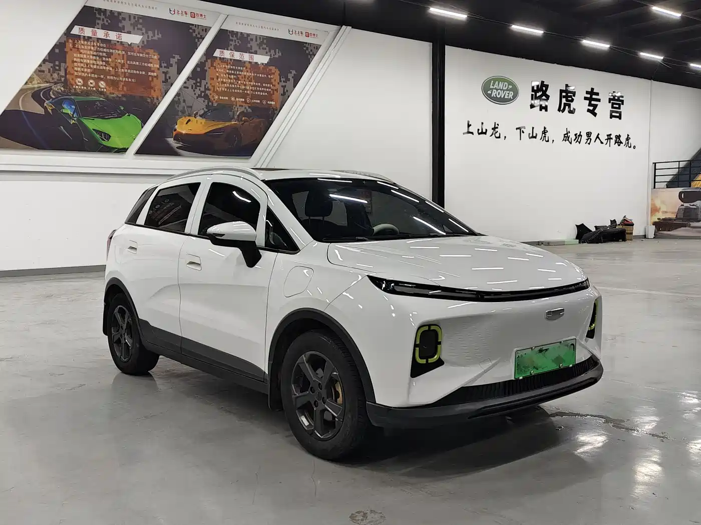 Geely Geometry E Firefly 2022 2022 401KM Delicate Tiger 4-seater