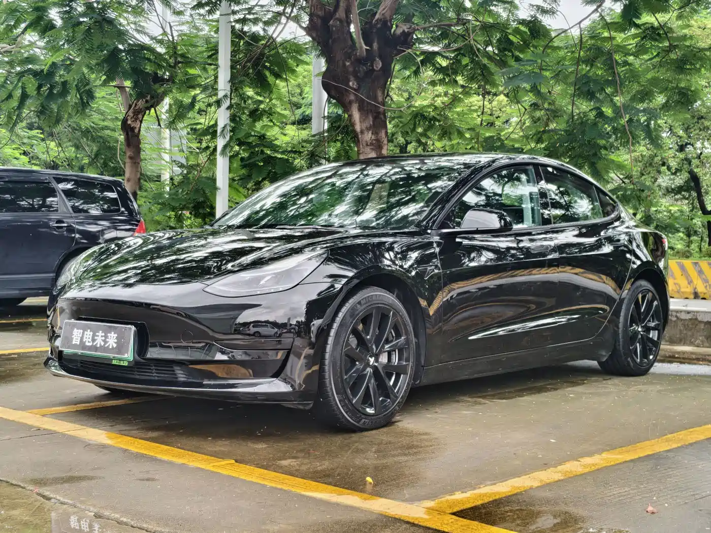 Tesla Model 3 2022 Model Rear-Wheel Drive Version