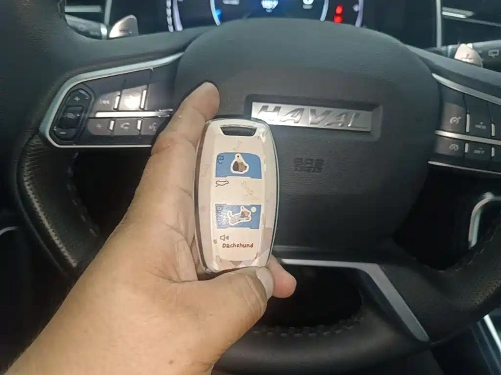 Haval H6 2021 National Trend Edition 1.5GDIT Automatic Champion Edition фото 9