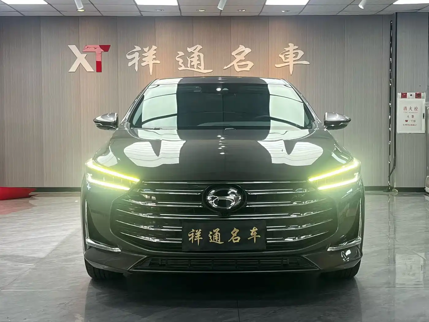 GAC Trumpchi Trumpchi GA8 2020 2020 390T Prestige Edition