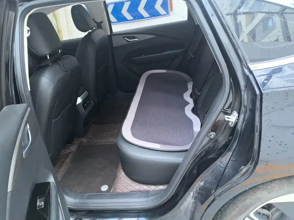 Wuling Motors Wuling Xingguang 2024 2024 Co-Creation Edition 150 Pilot