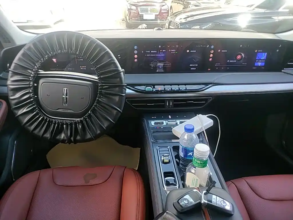 Photo 10 - Lincoln Z