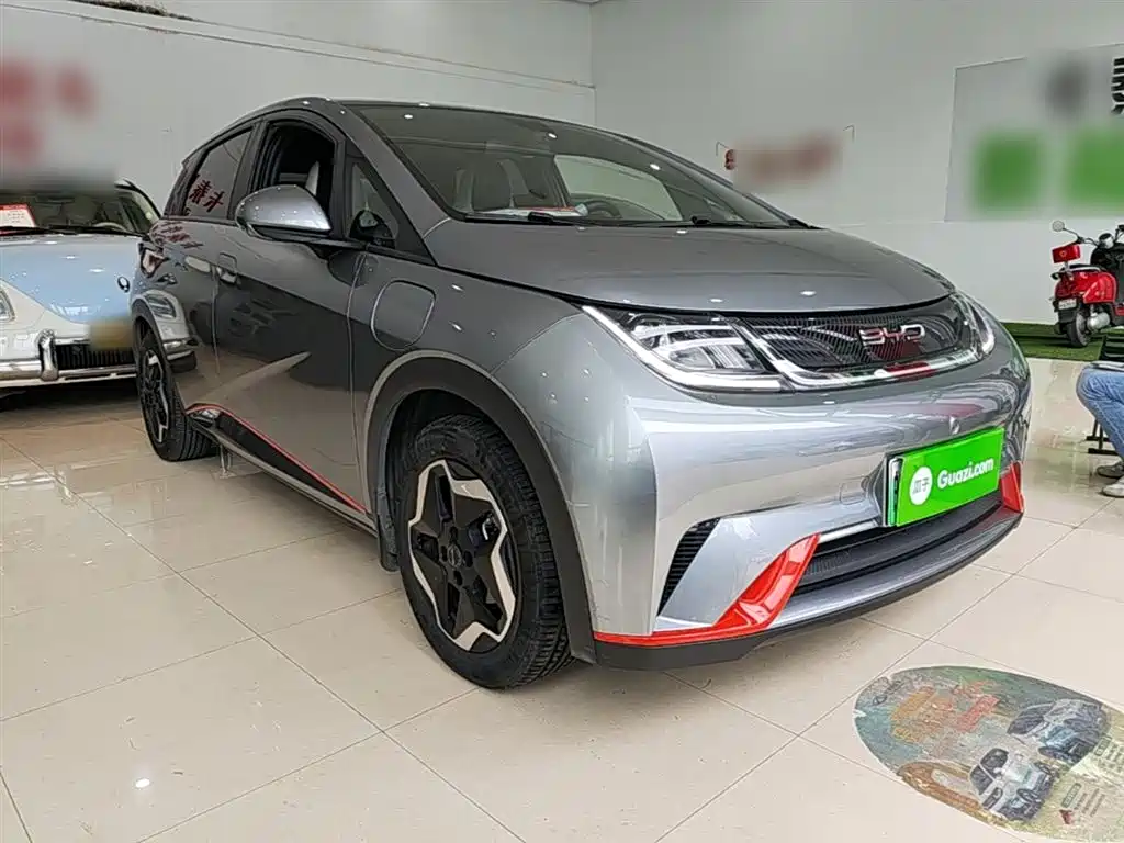 BYD Dolphin 2021 Model 405km Fashion Edition фото 4