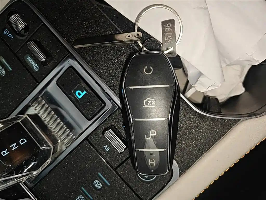 BYD Song PLUS PHEV 2024 Glory Edition DM-i 110km Flagship фото 9