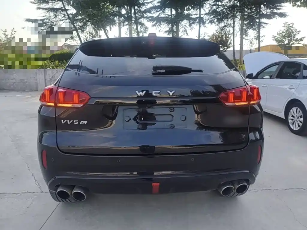 WEY VV5 2017 2017 2.0T Super Luxury Model