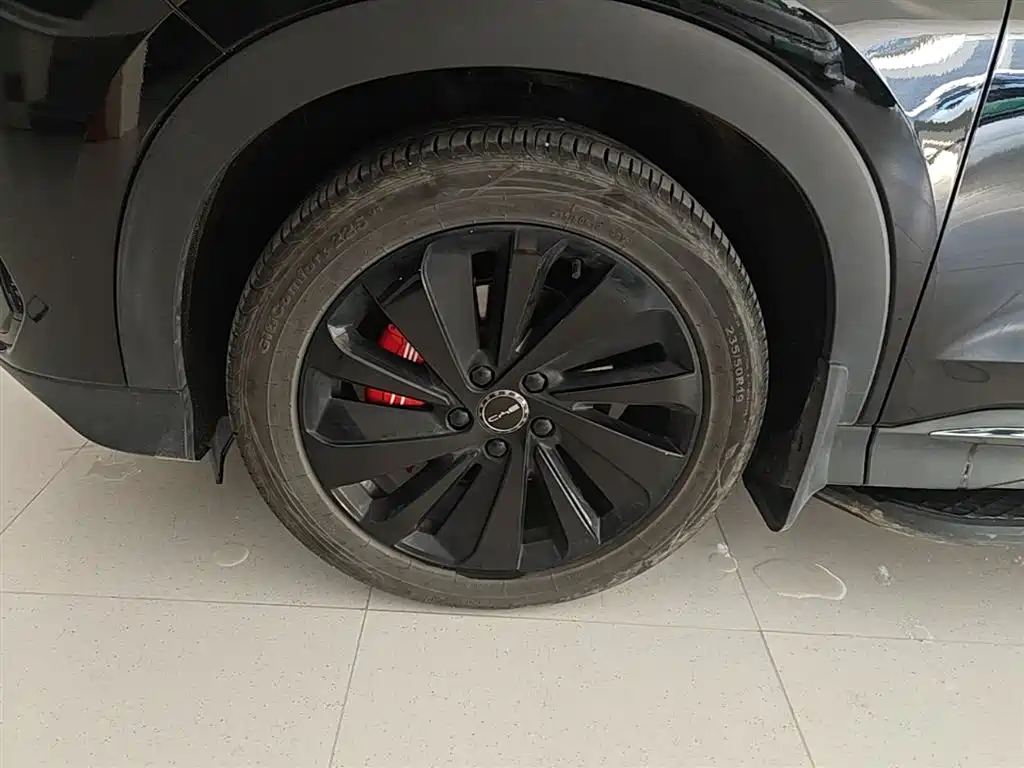 BYD Song PLUS PHEV 2024 Glory Edition DM-i 110km Flagship фото 23