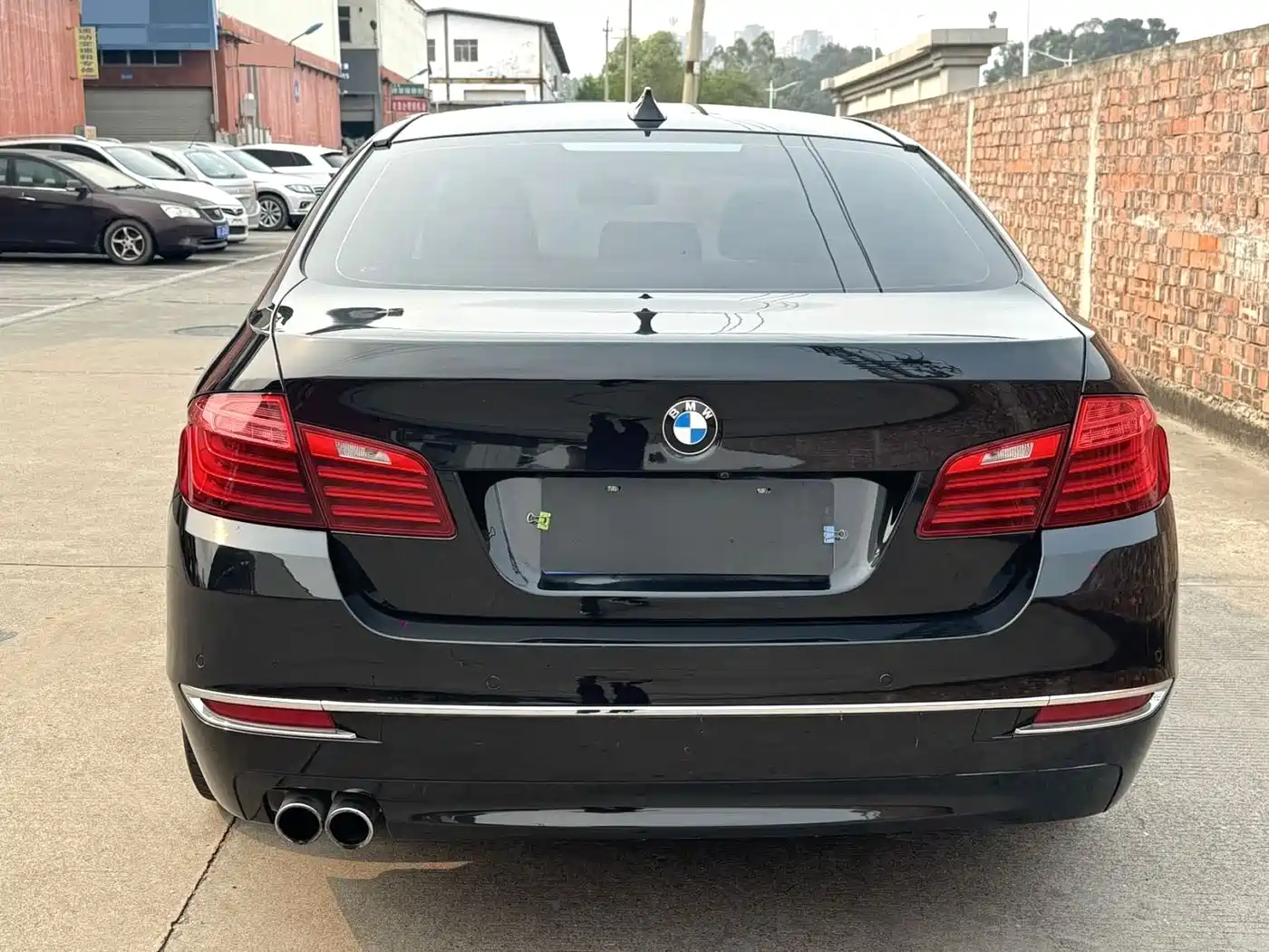 BMW 5 Series 2014 525Li Luxury Design Package фото 16
