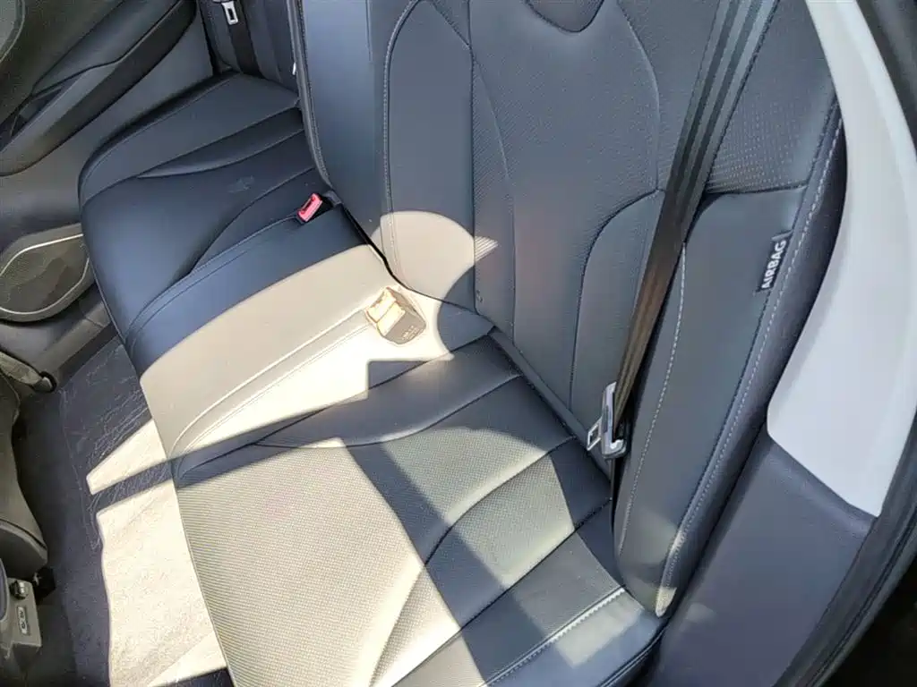 Hongqi E-QM5 2023 Facelift Basic Travel Edition фото 17