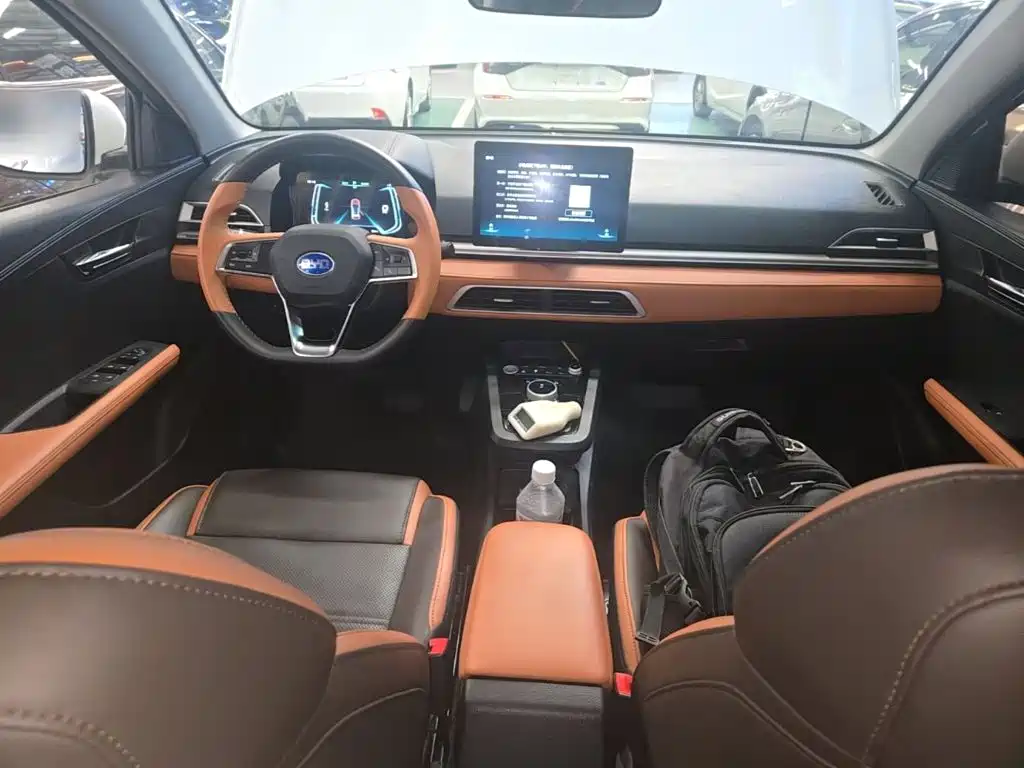 BYD e2 2021 2021 Luxury Edition