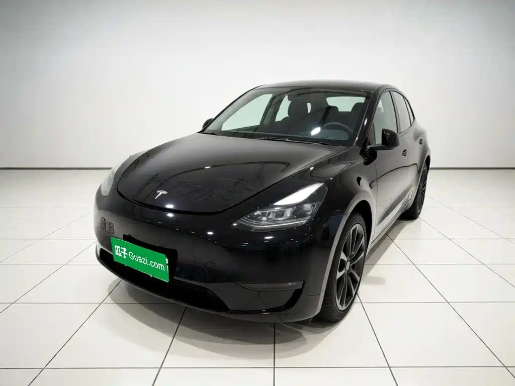Tesla Model Y 2021 Performance High-Performance AWD