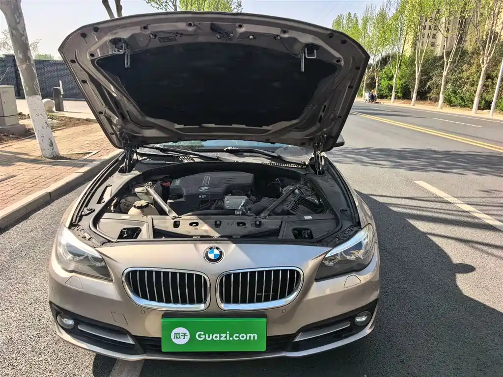 BMW 5 Series 2014 525Li Leading фото 10
