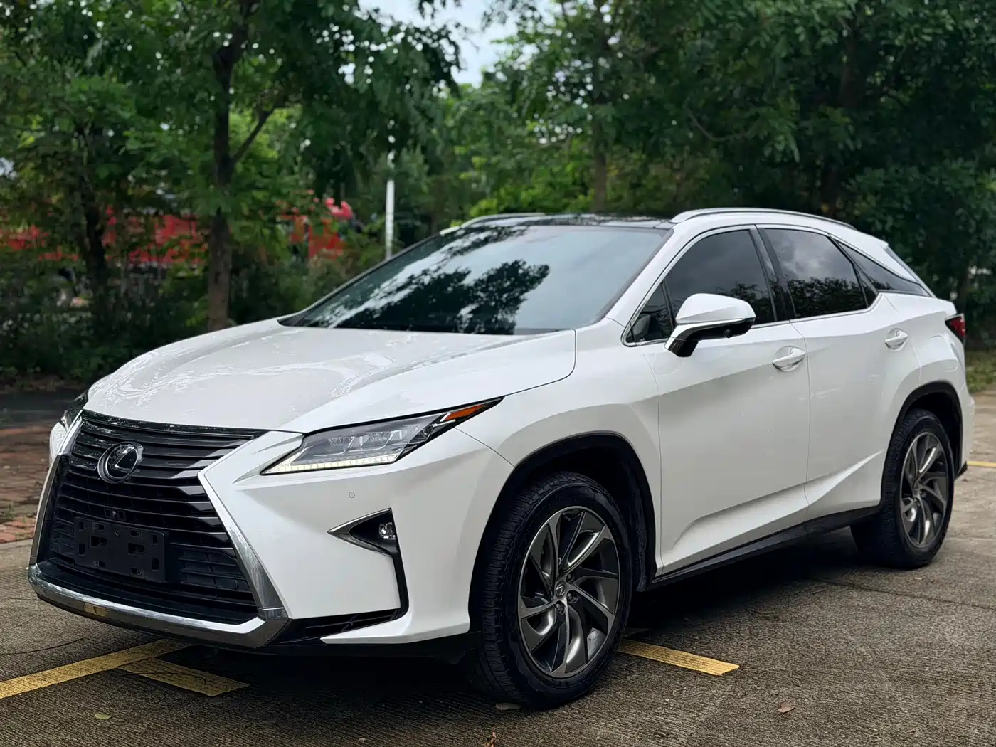 Lexus RX 2016 300 4WD Elegance Edition (China V) фото 3
