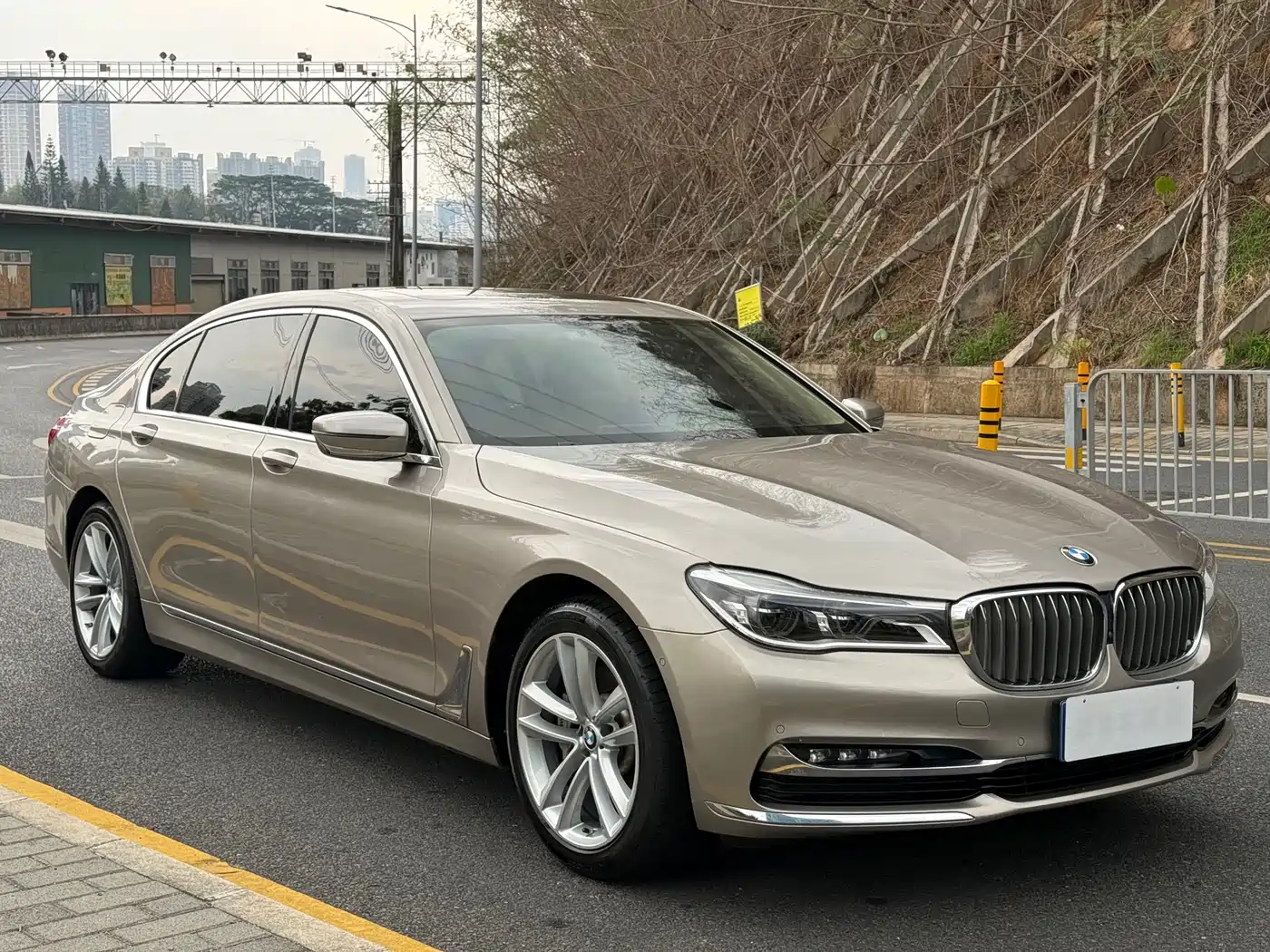 BMW 7 Series 2018 730Li Premium Type Excellence Package фото 3