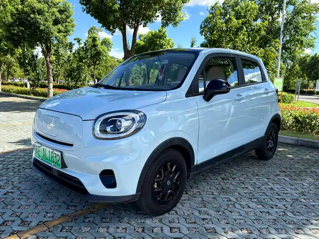 Leapmotor T03 310 Лайт