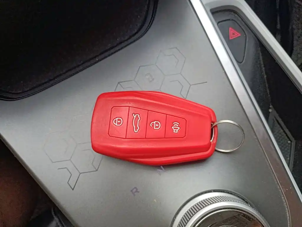 Geely Geometry C 2021 2020 Model Premium Range Edition 550KM C++