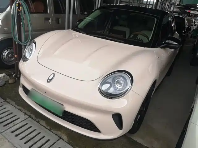  Ora Ora Good Cat 2025 Model 430km Luxury