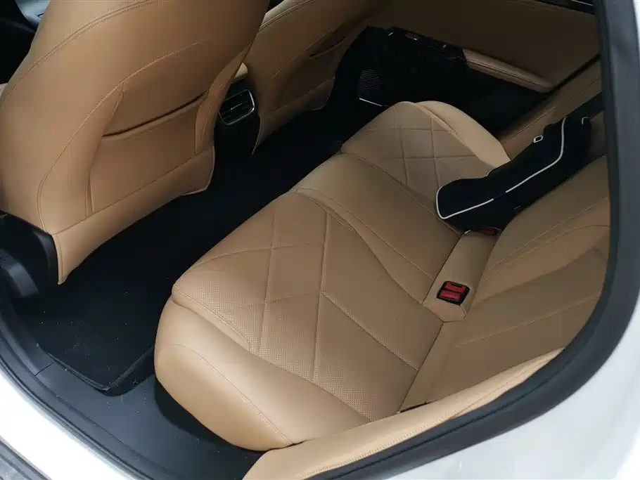 Geely Galaxy Galaxy L6 2024 125km PLUS Soaring Dragon Edition фото 11