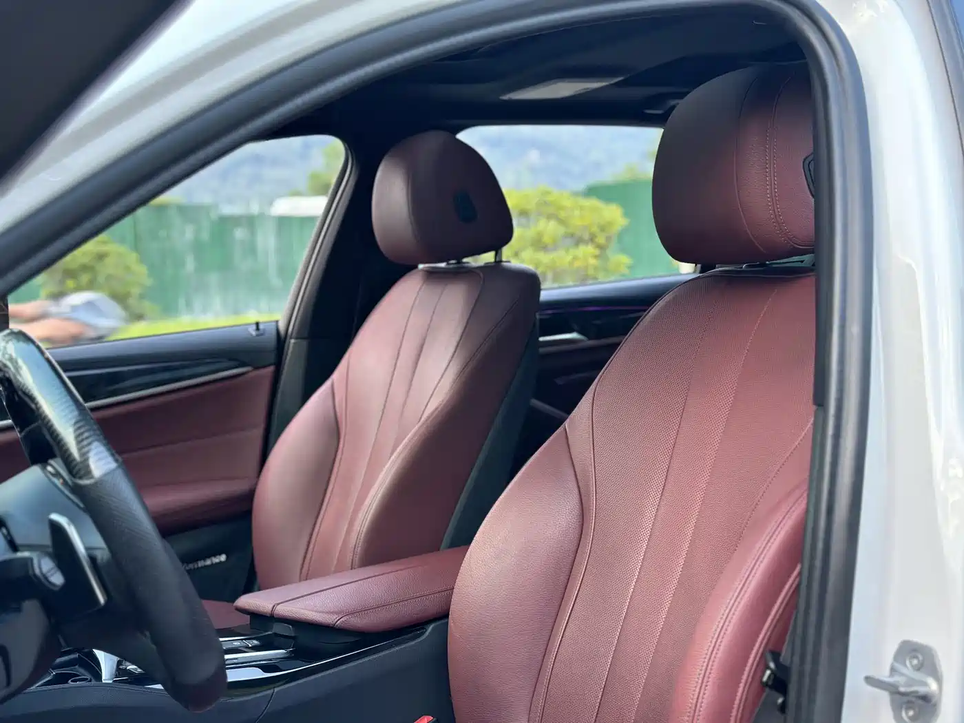 BMW 5 Series 2019 530Li Premium M Sport Package фото 10