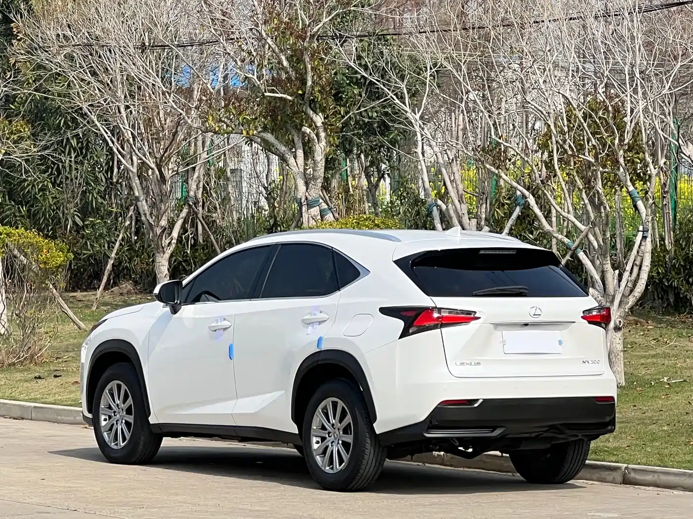 LEXUS NX