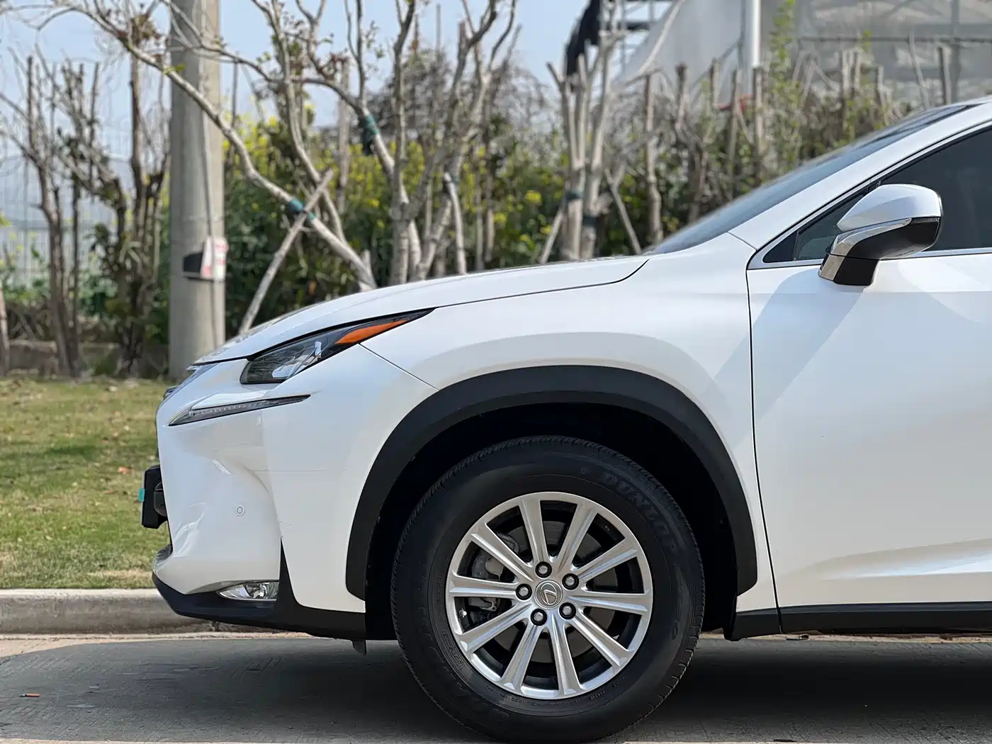 LEXUS NX
