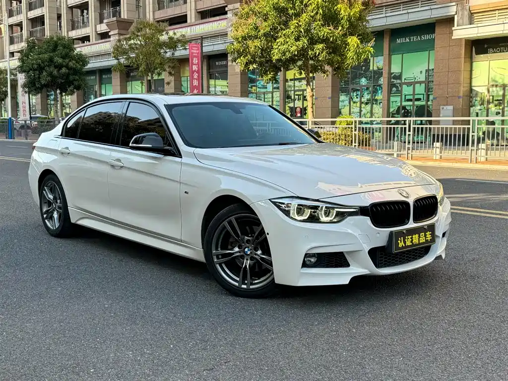 BMW 3 Series 2019 320Li M Sport Black Night Edition фото 3