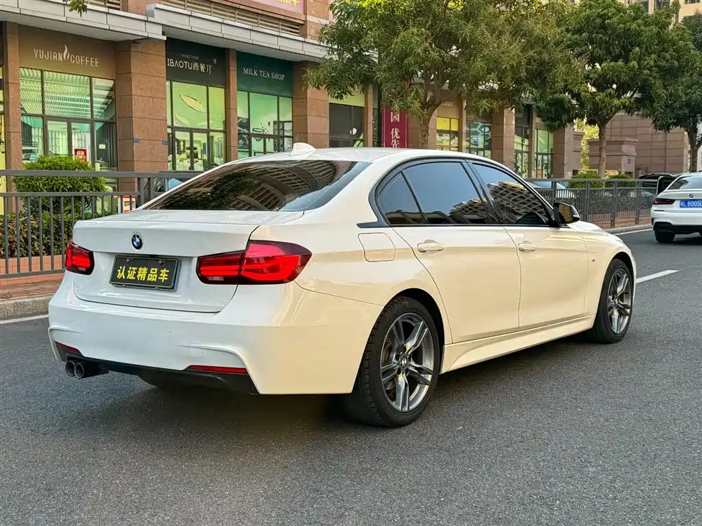 BMW 3 Series 2019 320Li M Sport Black Night Edition фото 9